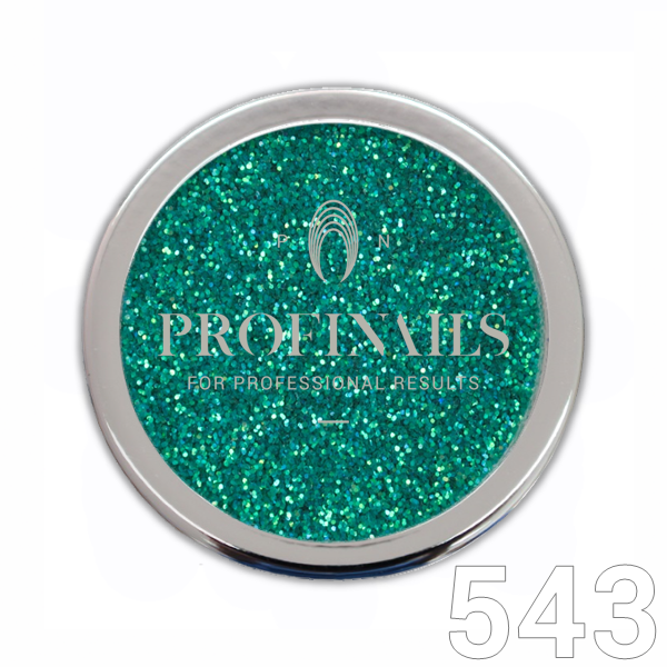 Profinails Cosmetic Glitter No. 543